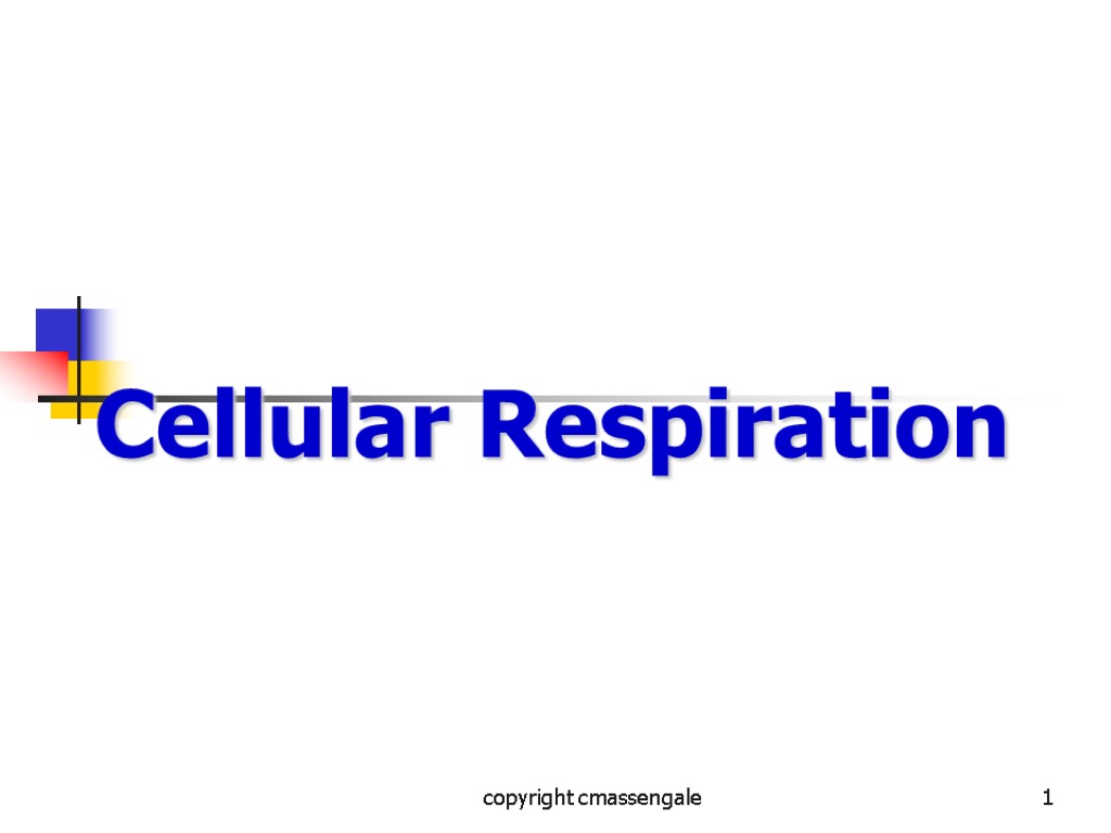 1 Cellular Respiration copyright cmassengale